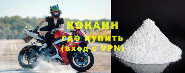 мдпв Инсар