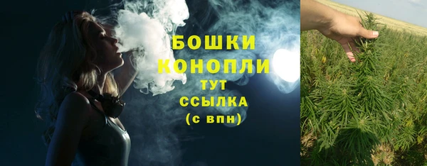 мдпв Инсар