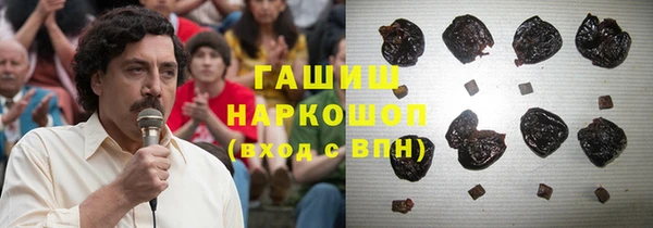 мдпв Инсар