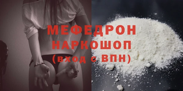 мдпв Инсар