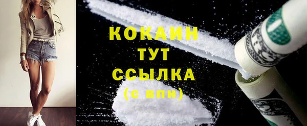 mix Инта