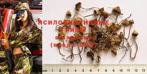 сатива Иннополис