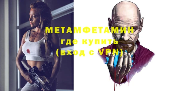 мдпв Инсар