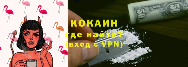 mix Инта
