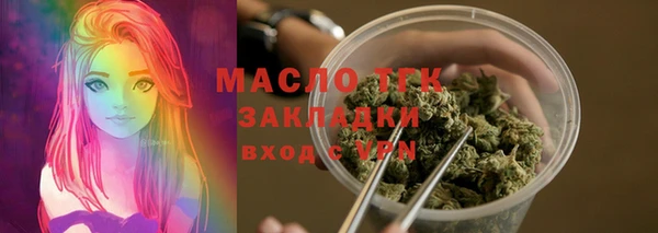 mix Инта