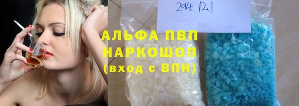 сатива Иннополис
