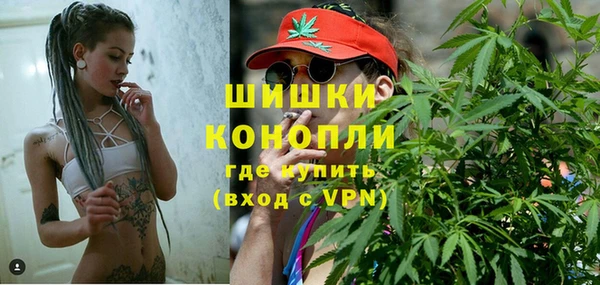 мдпв Инсар