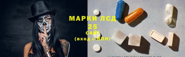 mix Инта