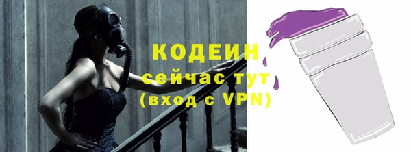 мдпв Инсар