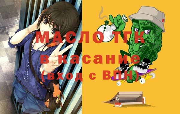мдпв Инсар