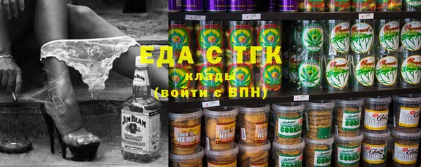 mix Инта