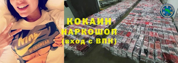 мдпв Инсар