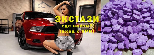 мдпв Инсар