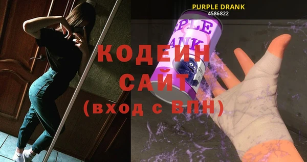 сатива Иннополис