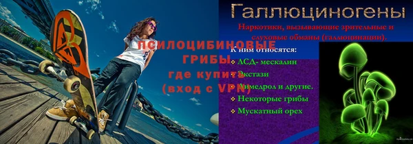 мдпв Инсар