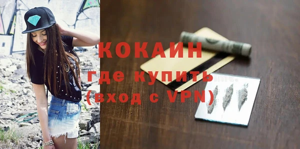 мдпв Инсар