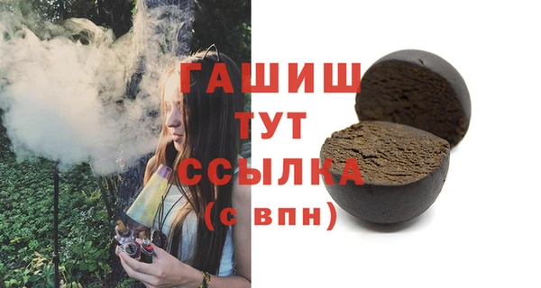 мдпв Инсар