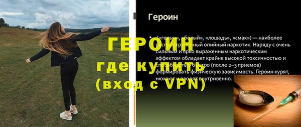 мдпв Инсар