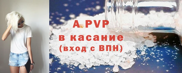 сатива Иннополис