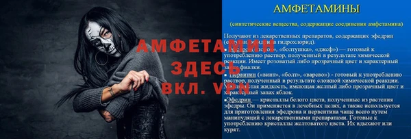 mix Инта