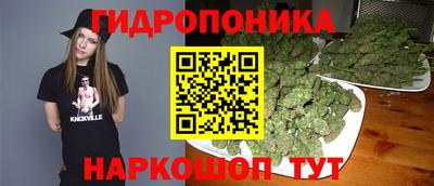 шишки Ирбит