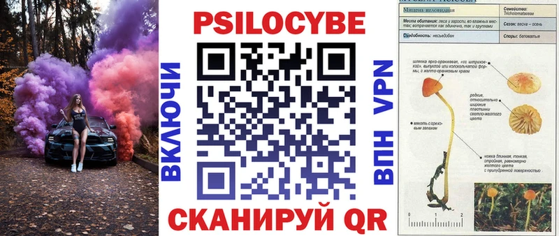 продажа наркотиков  KRAKEN онион  Галлюциногенные грибы Cubensis  Тихвин 