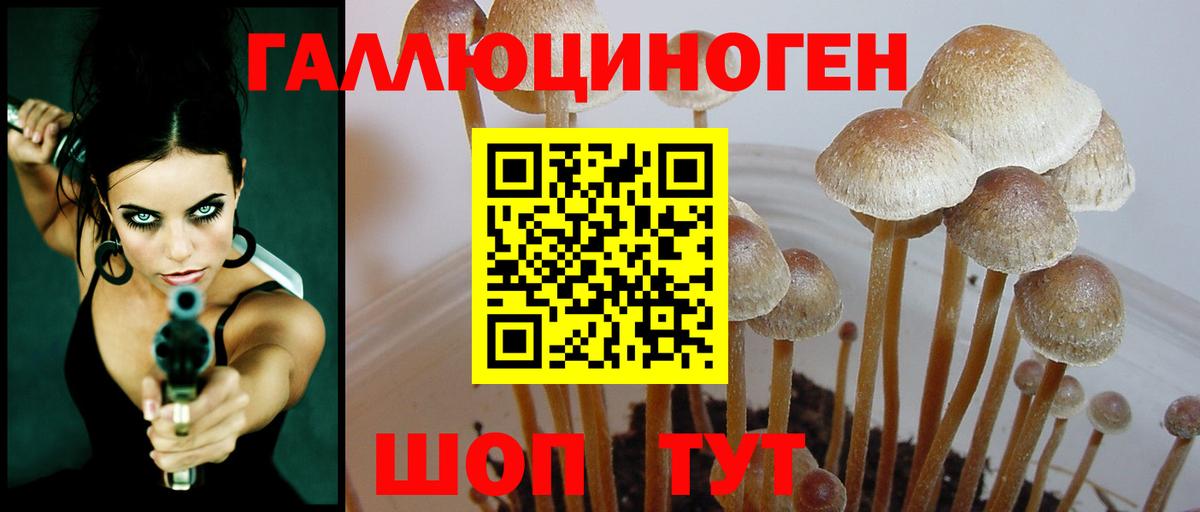 Псилоцибиновые грибы мицелий  Вход с VPN  Тихвин 