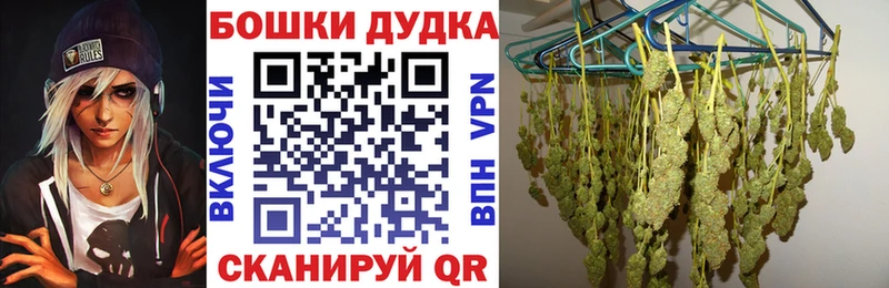 где можно купить   Тихвин  Конопля MAZAR 